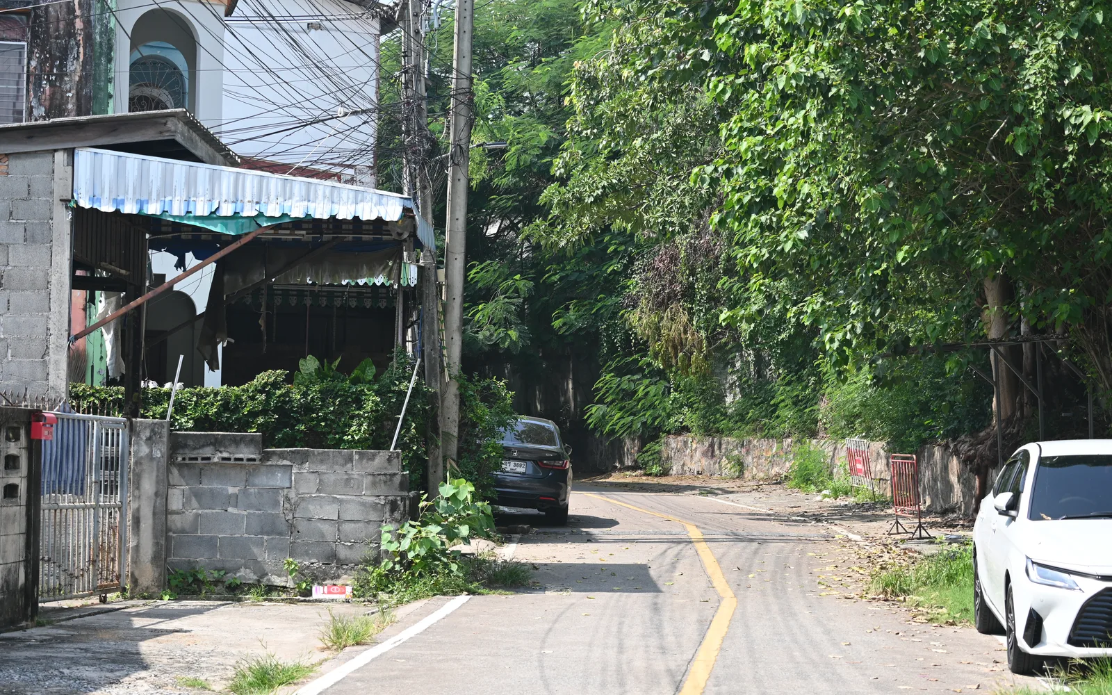 A peaceful residential street with a natural canopy of tall shade trees overhead, parked vehicles along the curb, and dappled sunlight creating patterns on the pavement